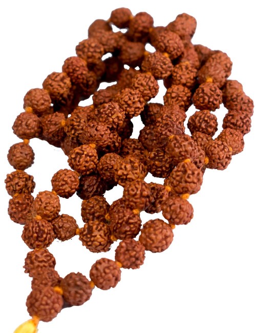 semente-má-rudraksha-hippie-étnica-índia