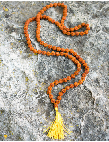 Sementes Japa Mala Rudraksha 2