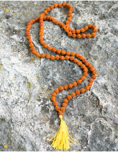 Japa Mala Rudraksha Seeds