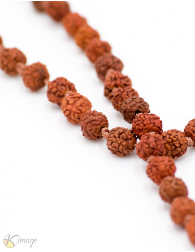 Graines Japa Mala Rudraksha