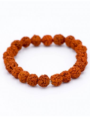 Bracelet Graine Rudraksha