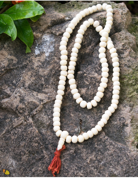 Osso Branco Japa Mala