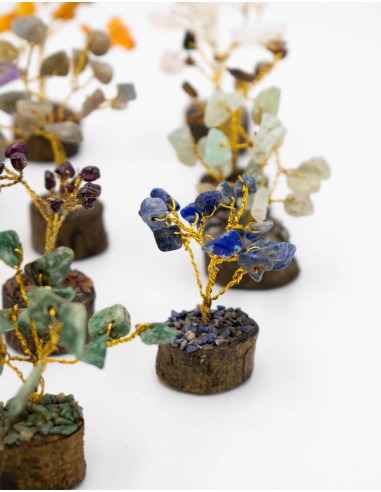 Box with 12 Stone Trees